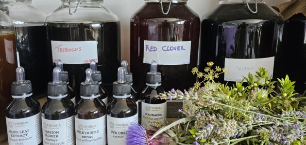 Herbal Tinctures: Nature’s Medicine Chest