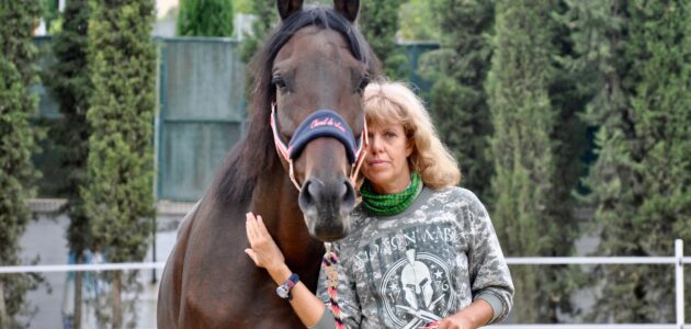 Entanglement in Animal Communication and Mesmerism