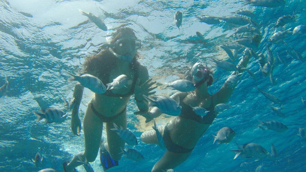 DCIM100GOPROG0158326.