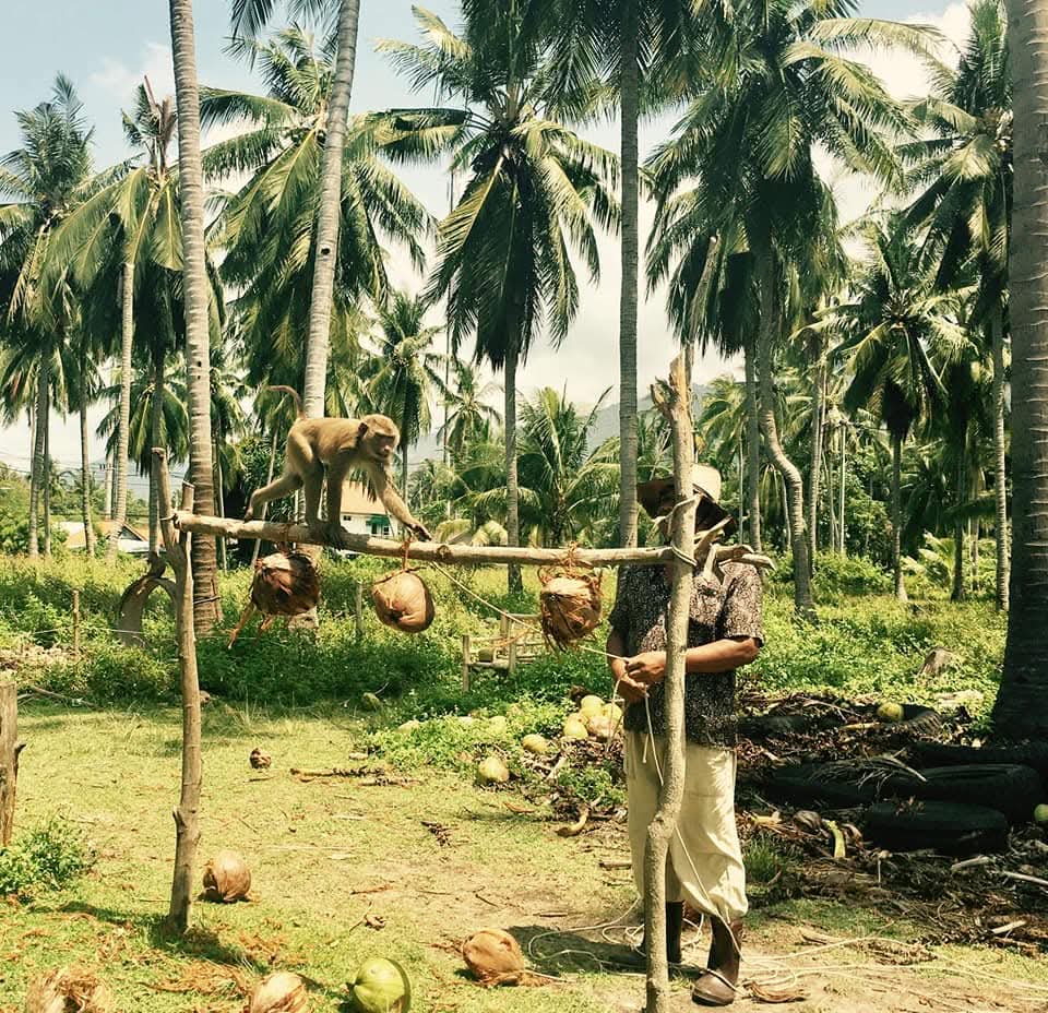 WhatsApp Image 2025-04-23 at 07.44.26 (1)