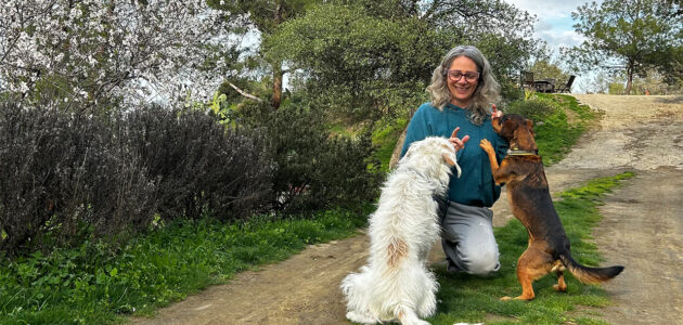 Introduction to Animal Communication